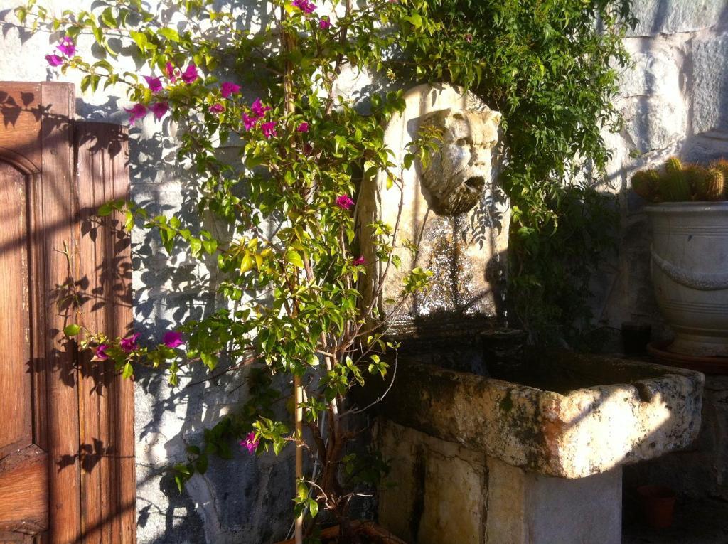 Hôtel Les Alizés Cavalaire-sur-Mer Kültér fotó